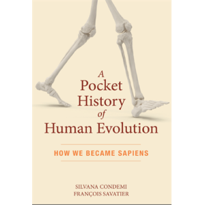 A Pocket History of Human Evolution How We Became 